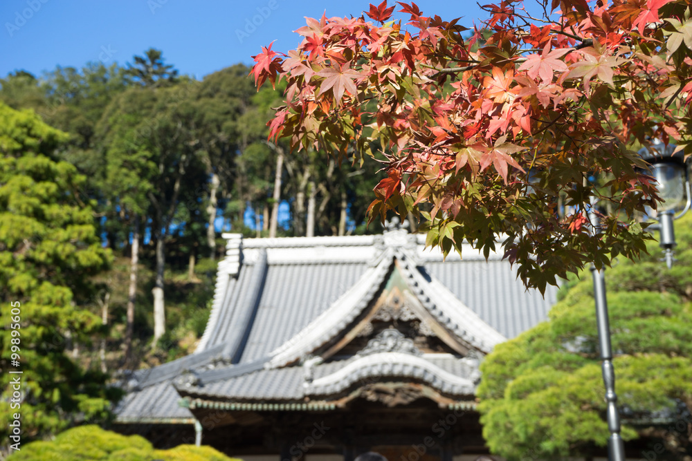 Autumn Shuzenji Autumn Shuzenji