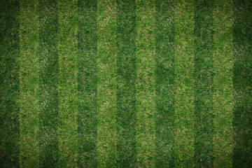 lawn top view background