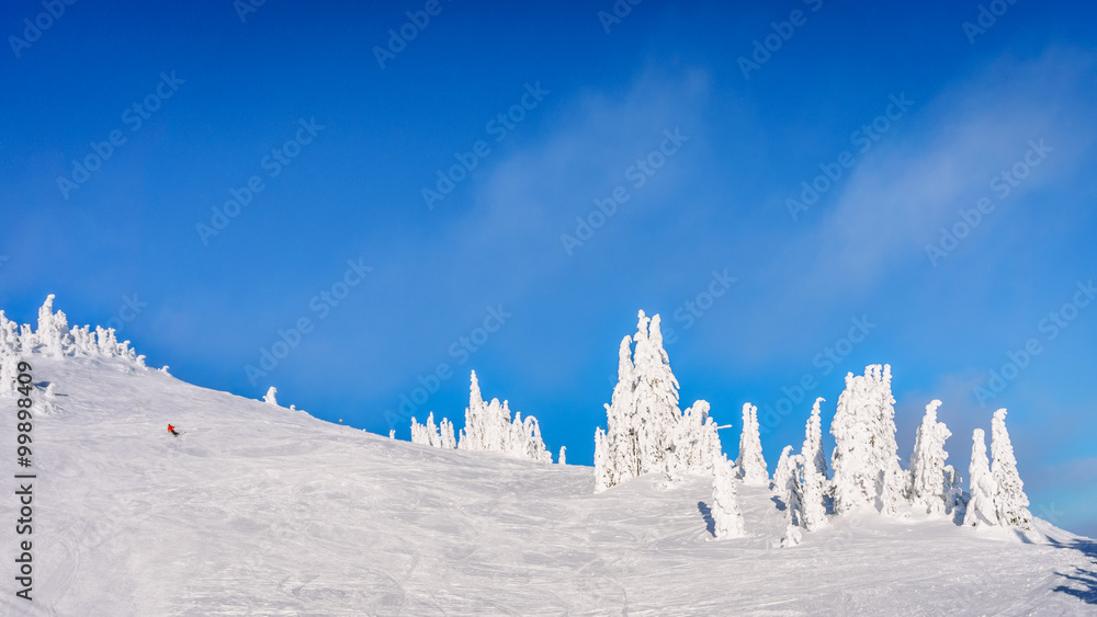 Wide open ski-able snowfields in the high alpine ski area at the village of Sun Peaks in the Shswap Highlands of central British Columbia, Canada 