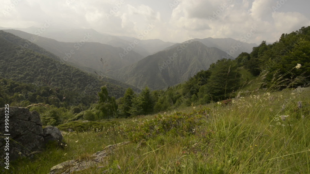 Mountain fiels in summer day dolly Mountain fiels in summer day dolly