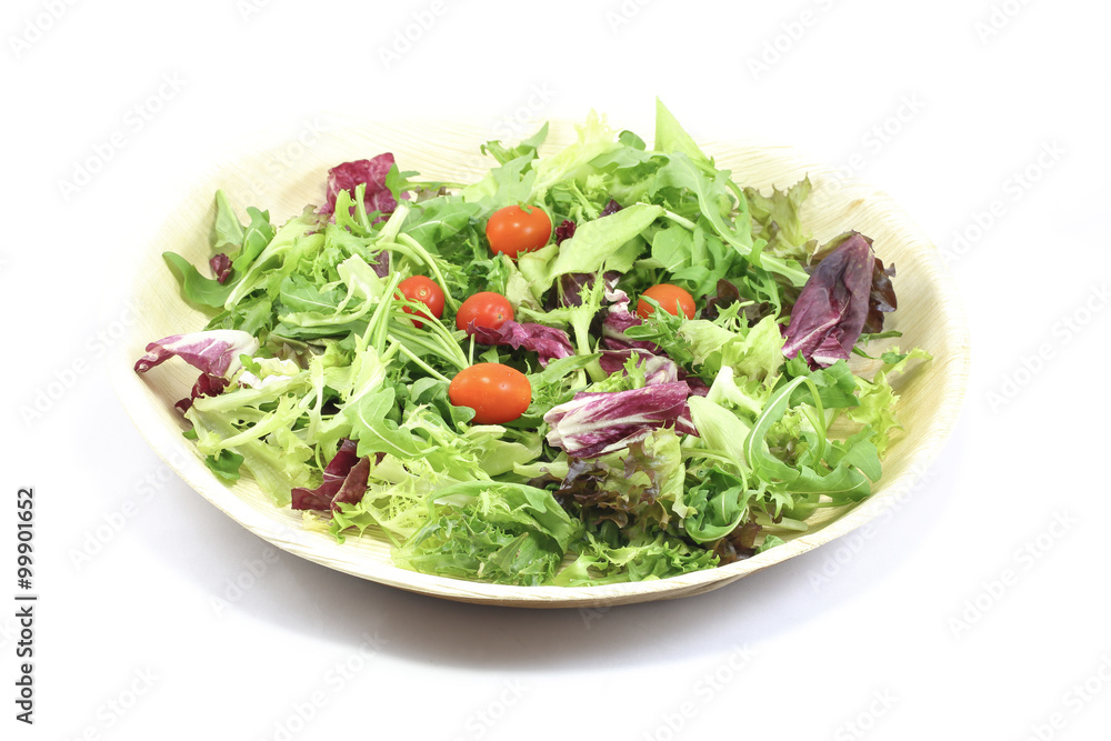 Healthy Garden Salad Healthy Garden Salad