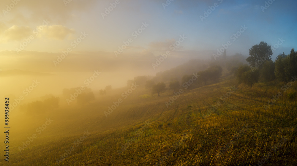 beautiful, misty morning over the valley 