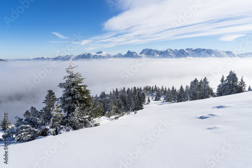 Unberührte Winterlandschaft