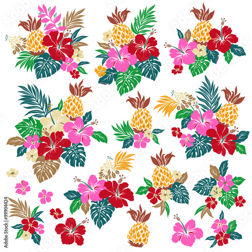 ハイビスカスとぱいな