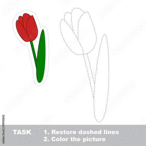 Tulip to be traced. Vector trace game.