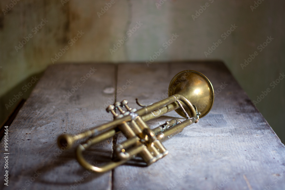 An ancient trumpet Stock Photo Adobe Stock