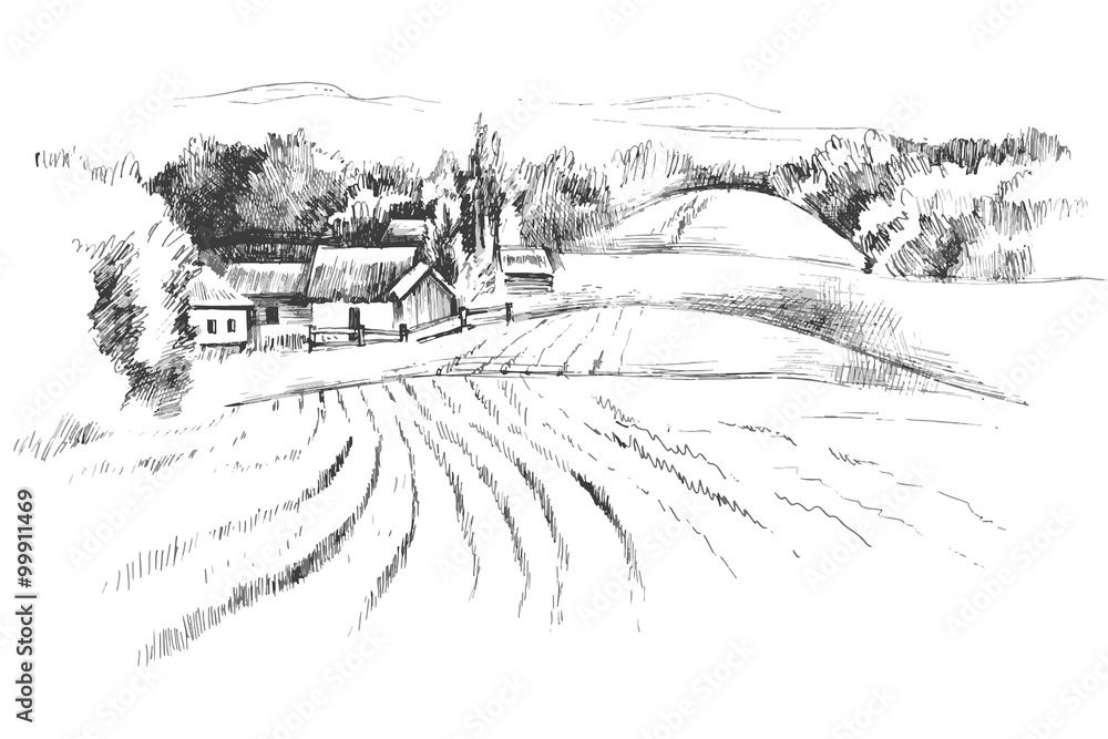 Hand drawn landscape with fields