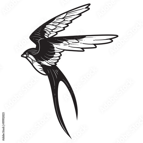 swallow