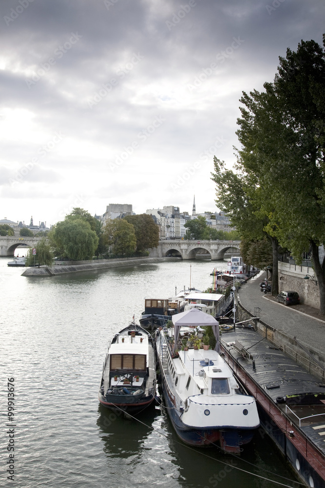 Naklejka premium Ile de la Cite and the River Seine, Paris, France