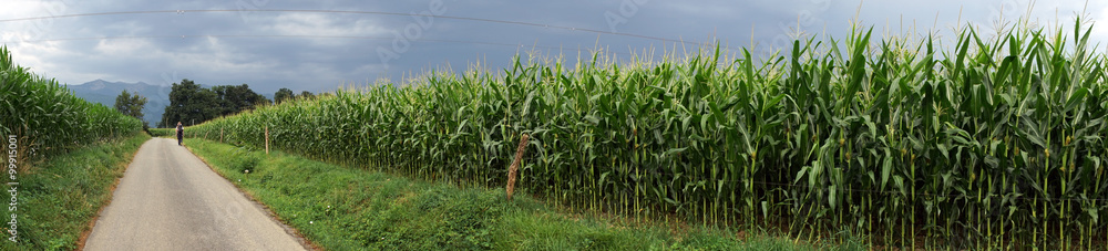 Obraz premium Backpacker on the road