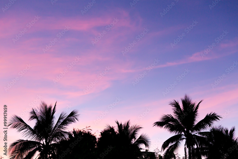 The sky in twilight time background.