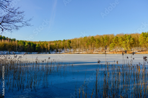 Winterlandschaft am Lienewitzsee