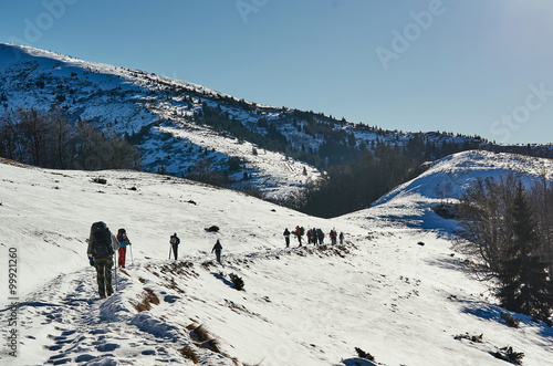 Tourists hiking in winter Carpathian mountains. Natural daytime sunlight.