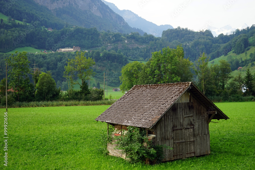 Wooden shed