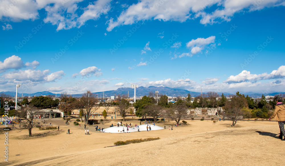 赤城山と冬の公園