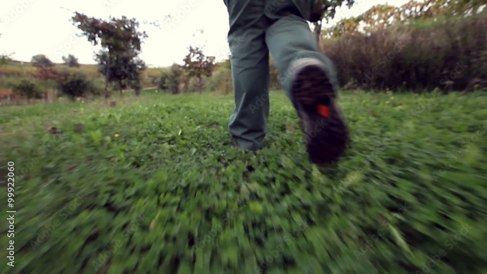 Dog looking for truffles POV Dog looking for truffles POV