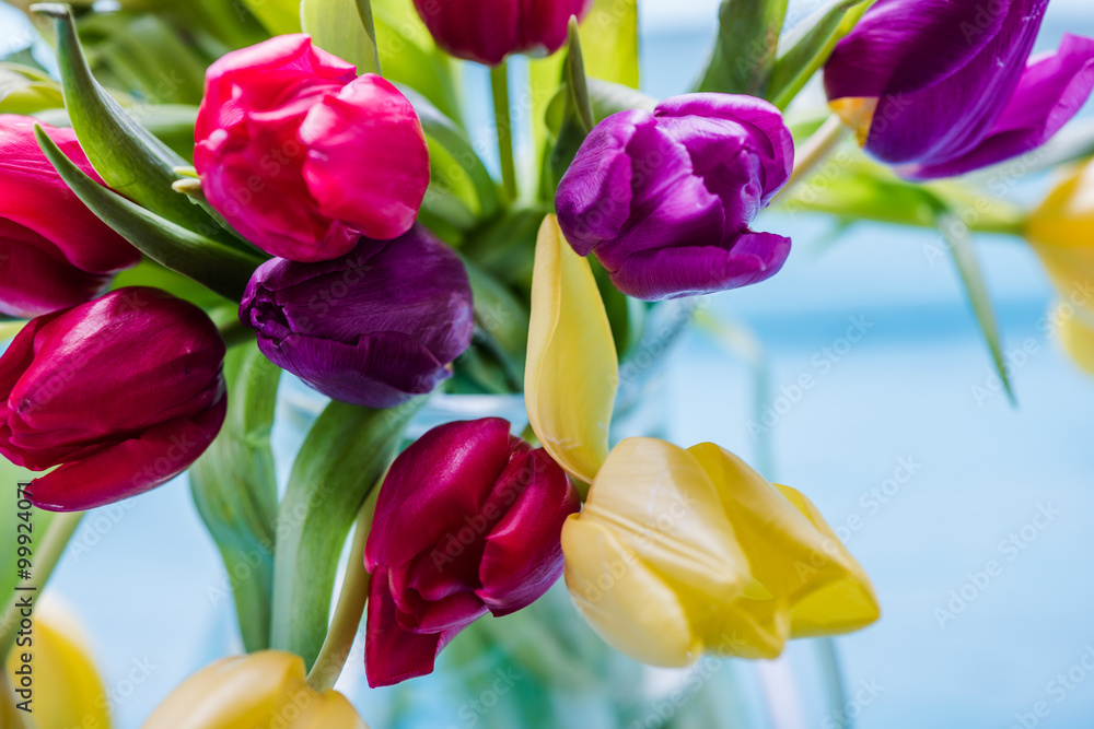 Naklejka premium Fresh spring bunch of tulips