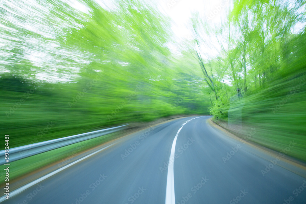 Road in a green forest