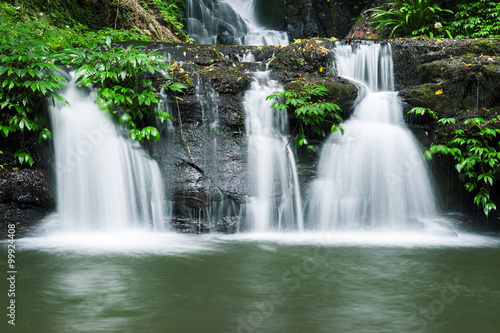 Waterfall in Lamington National Park in Queensland, Australia. © Rob D