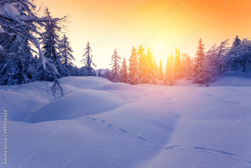 Naklejka premium Beautiful sunset in winter forest Jluia Alps in Slovenia