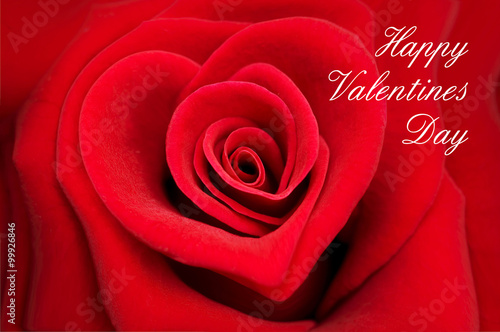 Valentine greeting card, red rose in the shape of a heart