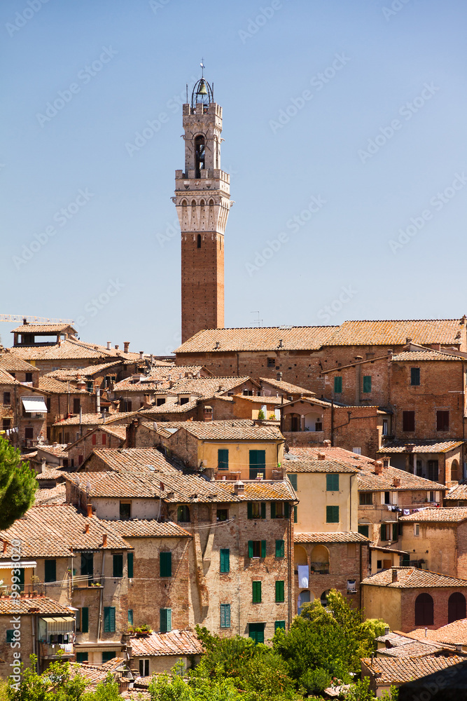 Cityscape of Siena with the Torre del Mangia, in Italy
