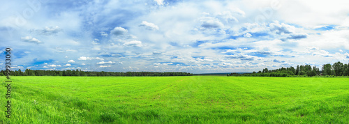 summer rural landscape a panorama with a field and the blue sky