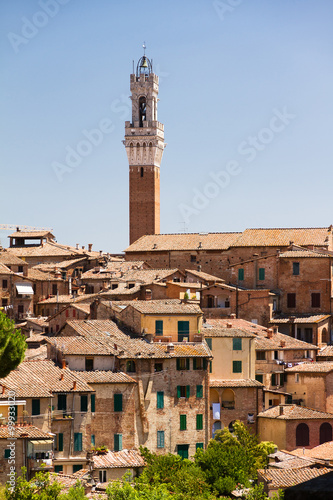 Cityscape of Siena with the Torre del Mangia  in Italy