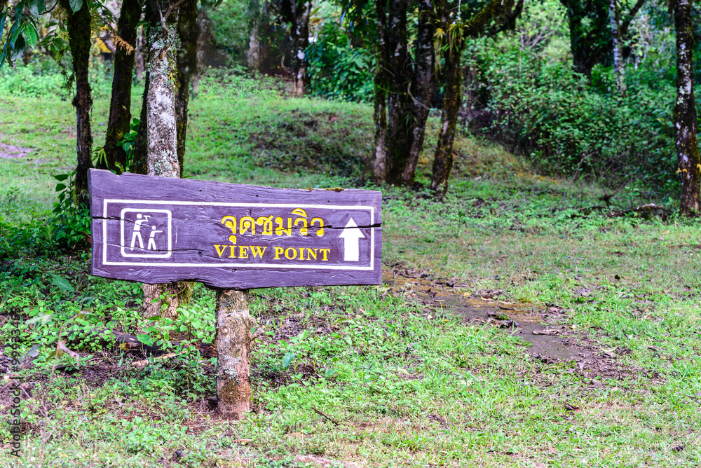 View point wooden sign point to upper way to forest. View point wooden sign point to upper way to forest.