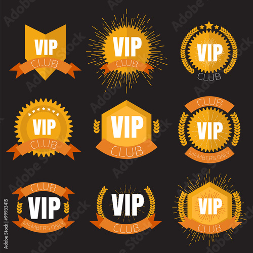 VIP club logo in flat style