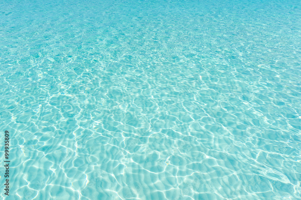 Tranquil underwater scene with copy space Tranquil underwater scene with copy space