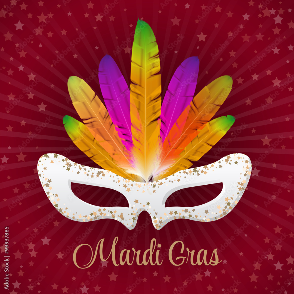 Mardi Gras vector mask with colorful feathers  isolated on purple and stars, rays