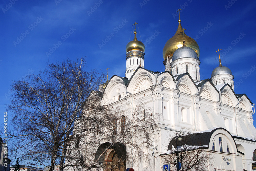 Fototapeta premium Archangels church in Moscow Kremlin. UNESCO World Heritage Site.