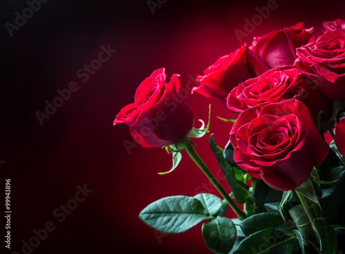 Fototapeta Naklejka Na Ścianę i Meble -  Rose. Red roses.  Bouquet of red roses. Valentines Day, wedding day background. Rose petals and hearts Valentine gift boxes. Valentines and wedding border. Waters drops on roses petals.
