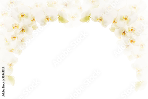 White orchid flowers as a frame with room for text