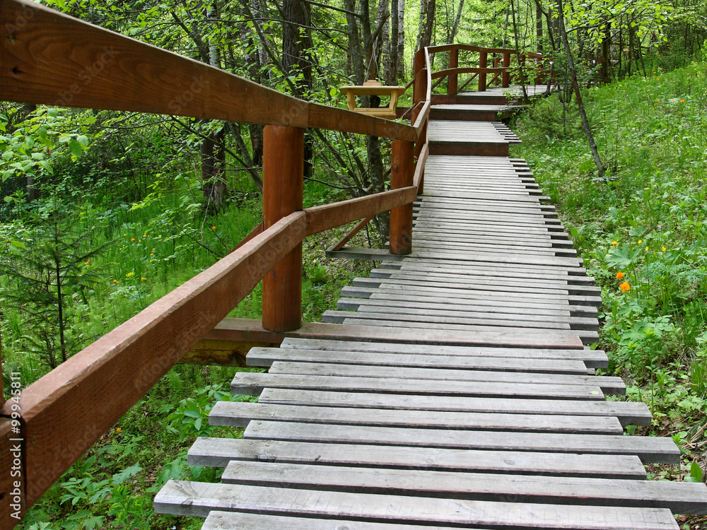 Fototapeta premium Wooden path in the woods.