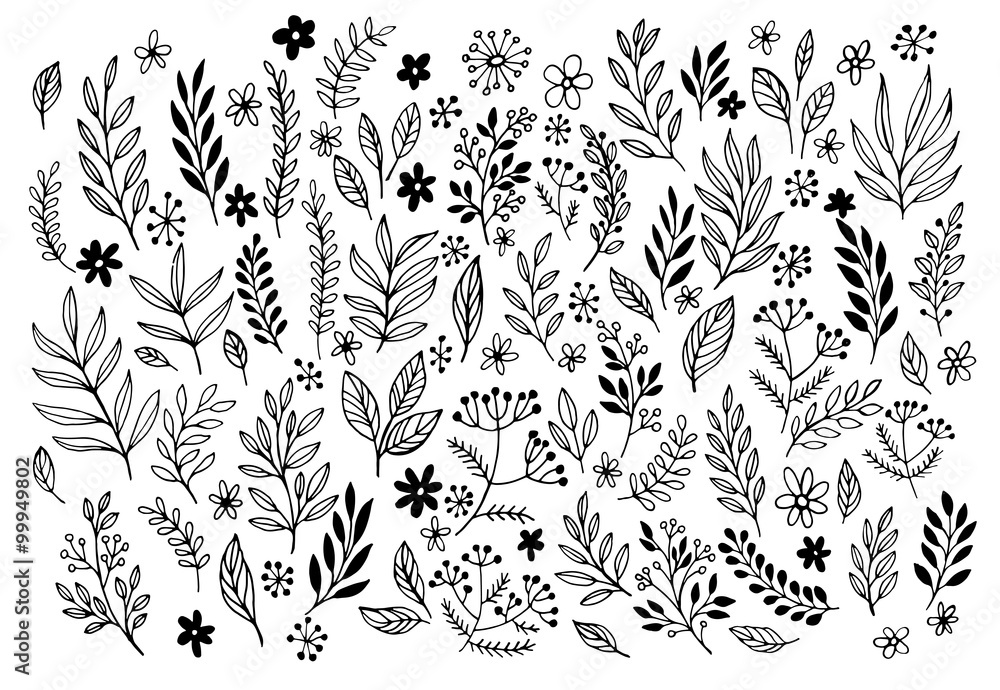 Naklejka premium Zestaw szkiców i gryzmoły linii ręcznie rysowane kwiatowy elementy. Ilustracji wektorowych