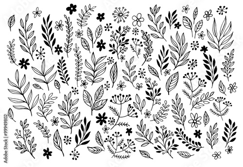 Set of sketches and line doodles  hand drawn design floral elements. Vector illustration
