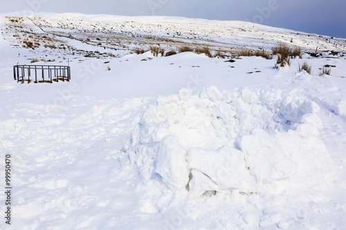 Wallpaper Mural Snow shelter made from ice blocks in Snowdonia National Park Ogwen Valley Conwy North Wales UK Britain Torontodigital.ca