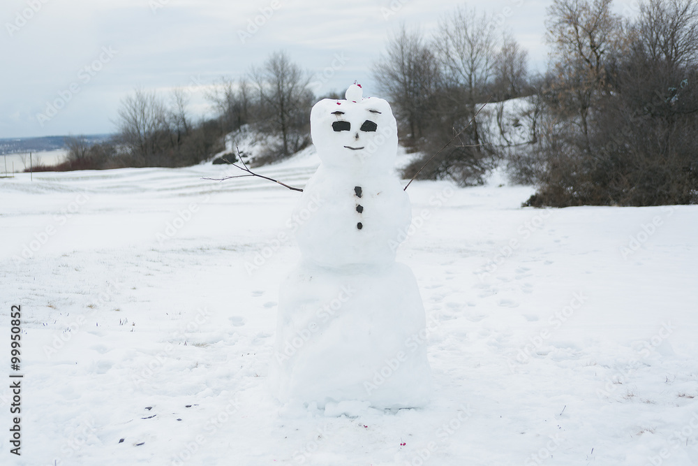 Fototapeta premium snow man standing on a field