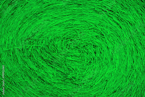 Green Hay bale background