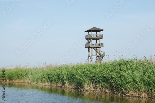 Wetland park to watch tower