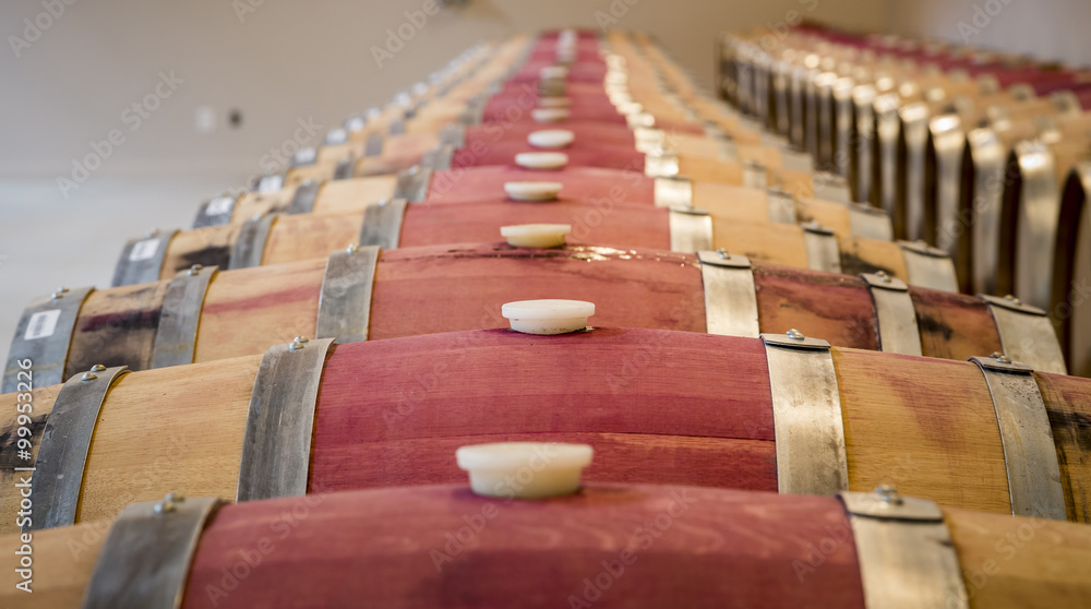 Artistic View of Wine Barrel Cellar