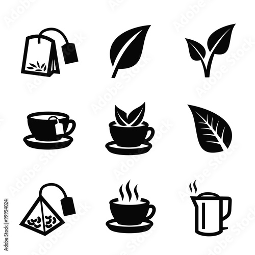 Leaf nature tea vector