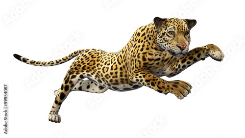 Jaguar leaping, wild animal isolated on white background
