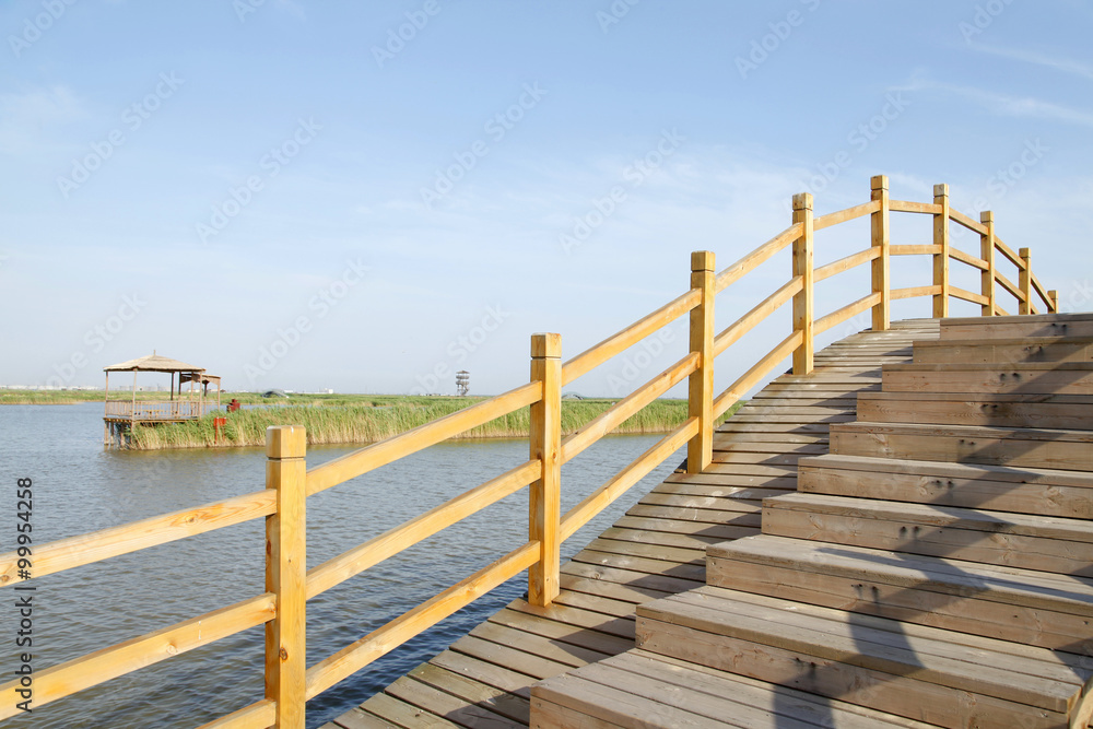 The wood bridge in wetland park The wood bridge in wetland park
