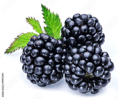 Three blackberries on the white background.