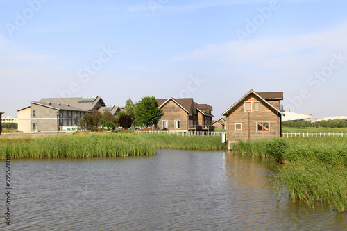 Wetland park of wooden houses