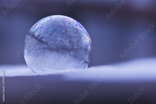 Frozen bubble on the snow