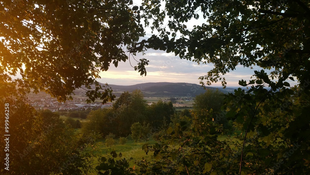 Obraz premium Blick durch Bäume